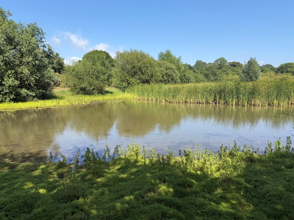 Lot: 48 - JUST UNDER FIVE ACRES OF LAND INCORPORATING LAKE - View of lake three